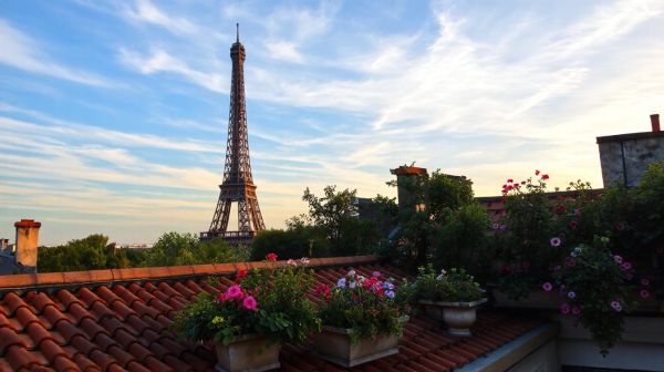 Découvrez les éléments clés des terrasses à Paris